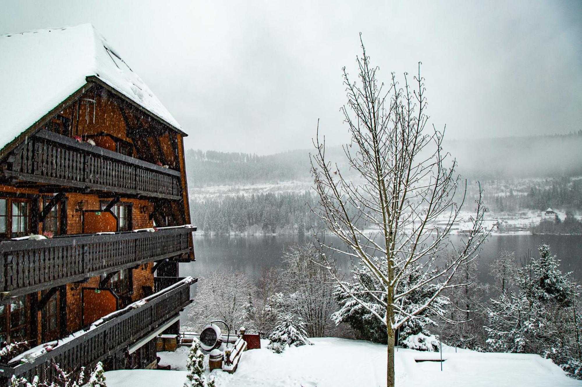 Alemannenhof - Boutique Hotel Am Titisee Buitenkant foto